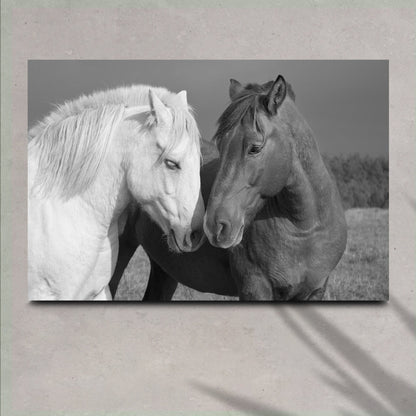 Horse Love Canvas Art: two horses nuzzling heads, white and dark brown Tailored Canvases on Tampa Home & Garden Store