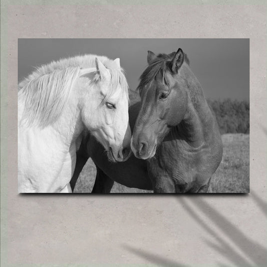 Horse Love Canvas Art: two horses nuzzling heads, white and dark brown Tailored Canvases on Tampa Home & Garden Store