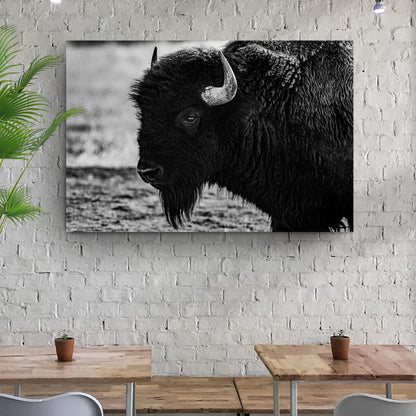 Black and white bison canvas wall art with a close-up horn and shaggy fur on crafting canvas on Tampa Home & Garden Store