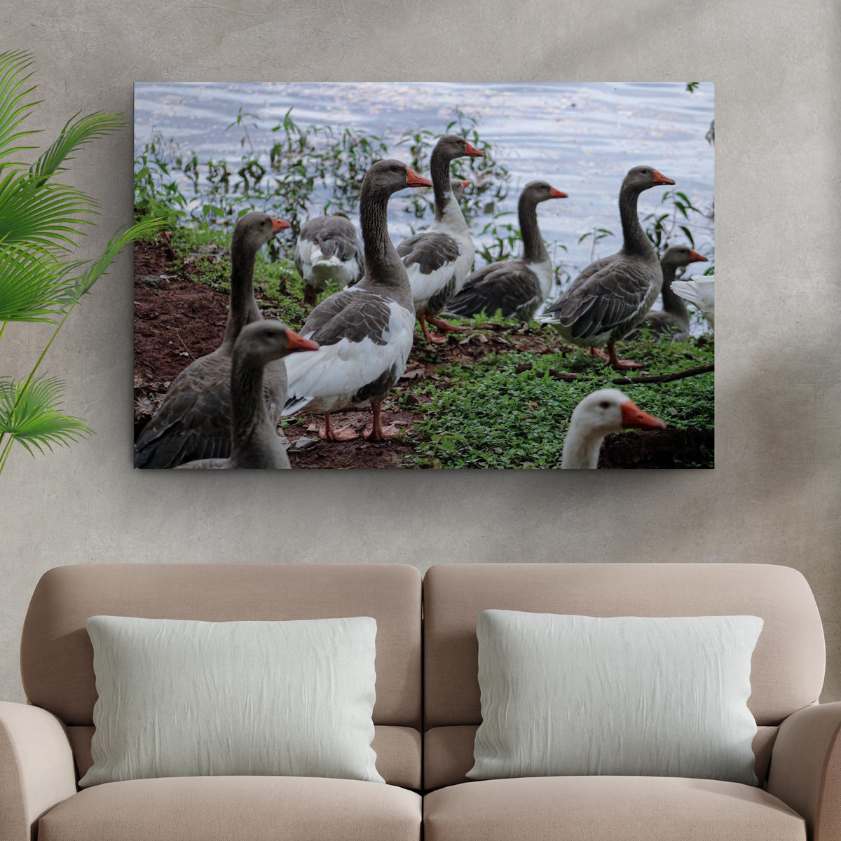 Flock of Domestic Geese Canvas Wall Art Tailored Canvases gray geese orange beaks on Tampa Home & Garden Store