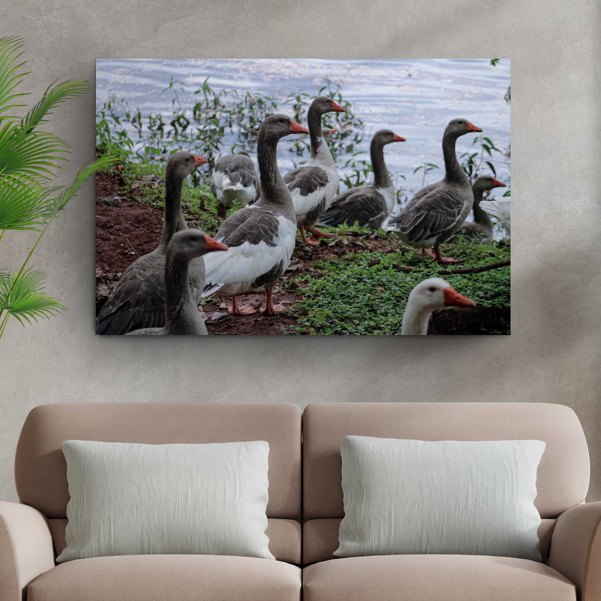 Flock of Domestic Geese Canvas Wall Art Tailored Canvases gray geese orange beaks on Tampa Home & Garden Store