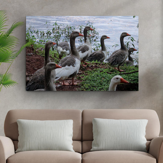 Flock of Domestic Geese Canvas Wall Art Tailored Canvases gray geese orange beaks on Tampa Home & Garden Store