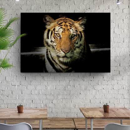 Lurking Tiger In The Dark Canvas Wall Art by Tailored Canvases, tiger face on black background on Tampa Home & Garden Store
