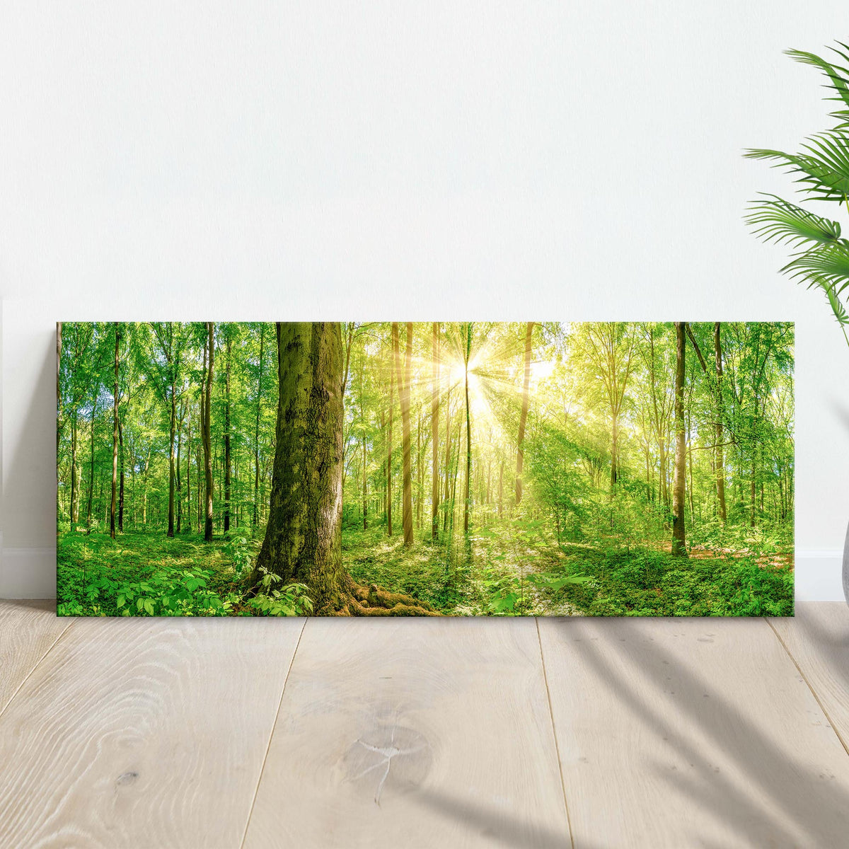 Golden Rays Into The Forest canvas wall art Tailored Canvases sunlit forest scene on Tampa Home & Garden Store