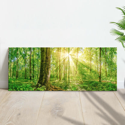 Golden Rays Into The Forest canvas wall art Tailored Canvases sunlit forest scene on Tampa Home & Garden Store
