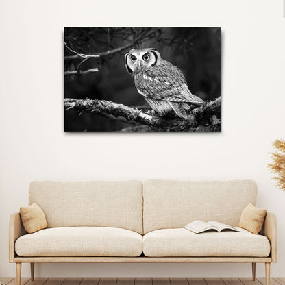 Black And White Owl Canvas Wall Art by Tailored Canvases monochrome owl on branch on Tampa Home & Garden Store