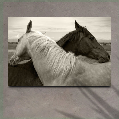 Monochrome couple horse canvas wall art Tailored Canvases crafting canvas on Tampa Home & Garden Store