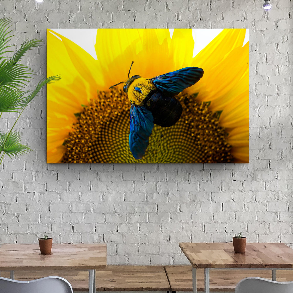 Bee Hoverfly Above A Sunflower canvas wall art with a bright yellow sunflower and blue-green hoverfly on Tampa Home & Garden Store