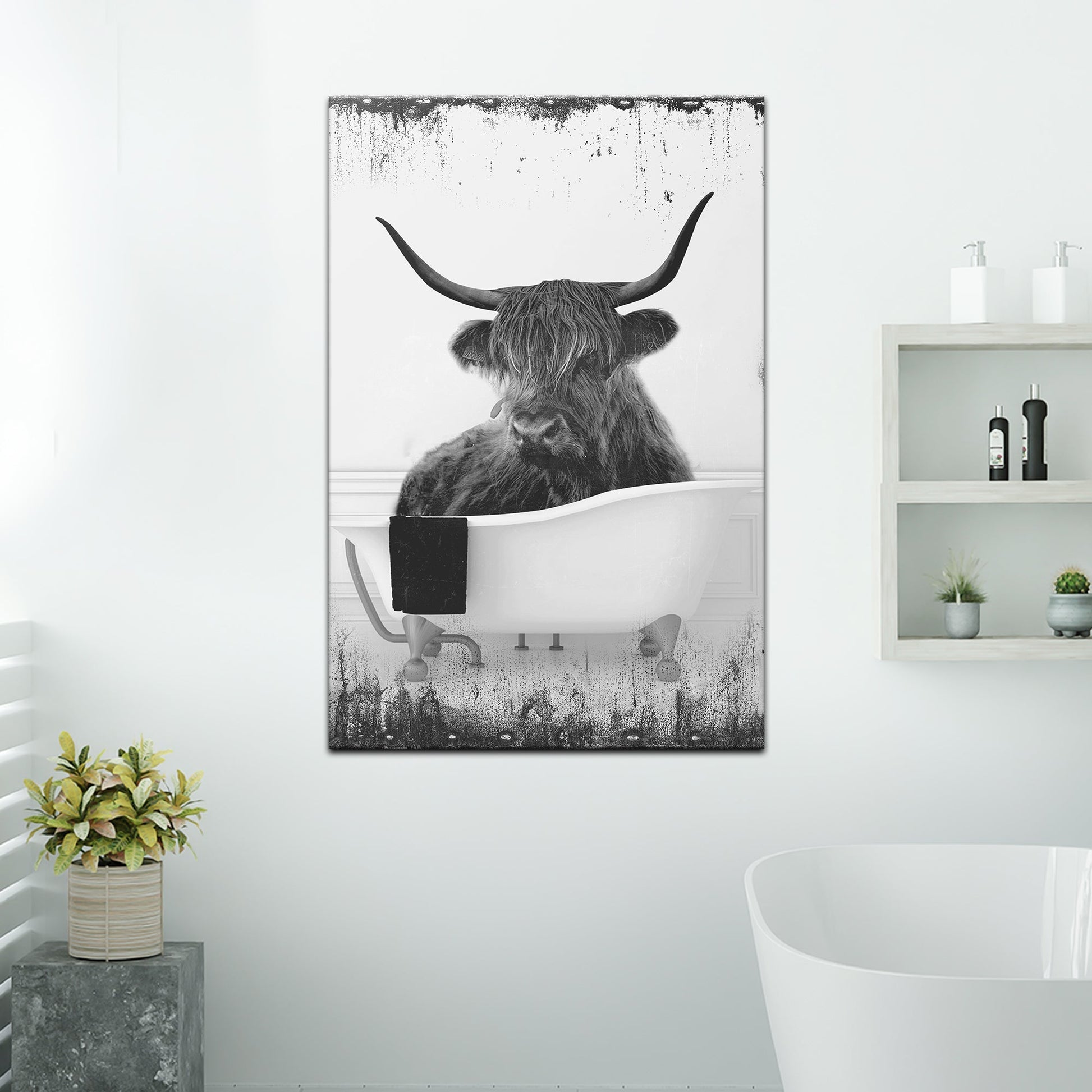 Highland Cattle Bath Canvas Wall Art II black-and-white cow in tub print Tailored Canvases on Tampa Home & Garden Store