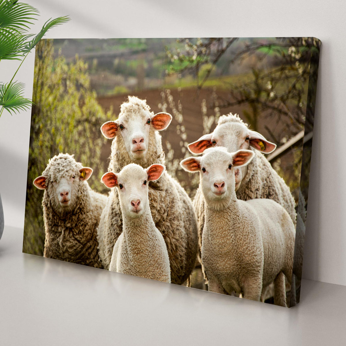 Curious Sheep Canvas Wall Art crafting canvas featuring white sheep in a sunny farm scene on Tampa Home & Garden Store