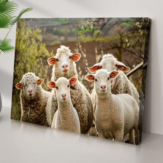 Curious Sheep Canvas Wall Art crafting canvas featuring white sheep in a sunny farm scene on Tampa Home & Garden Store