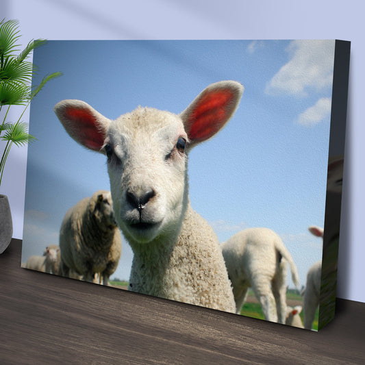 Curious Lamb Canvas Wall Art Tailored Canvases; cream fleece, blue sky, group of lambs on Tampa Home & Garden Store