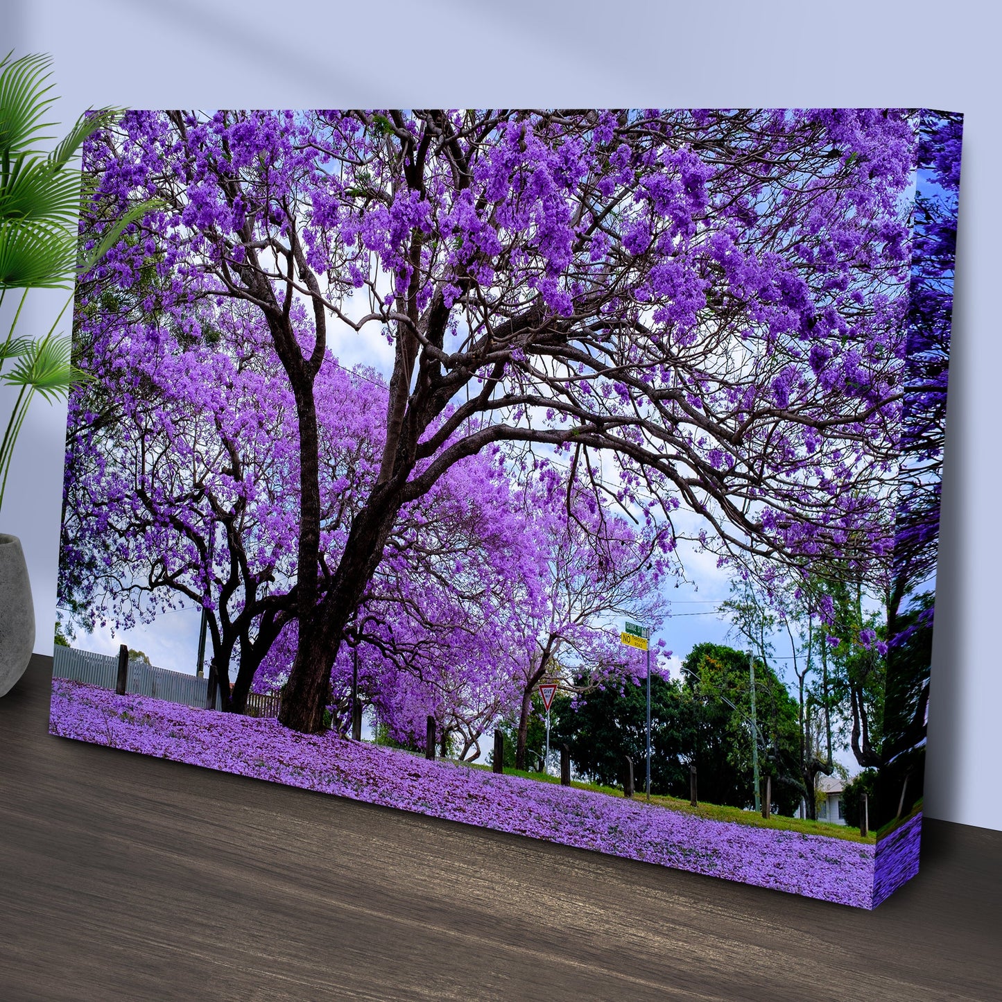 Jacaranda Trees Canvas Wall Art by Tailored Canvases; vibrant purple blossoms on canvas on Tampa Home & Garden Store