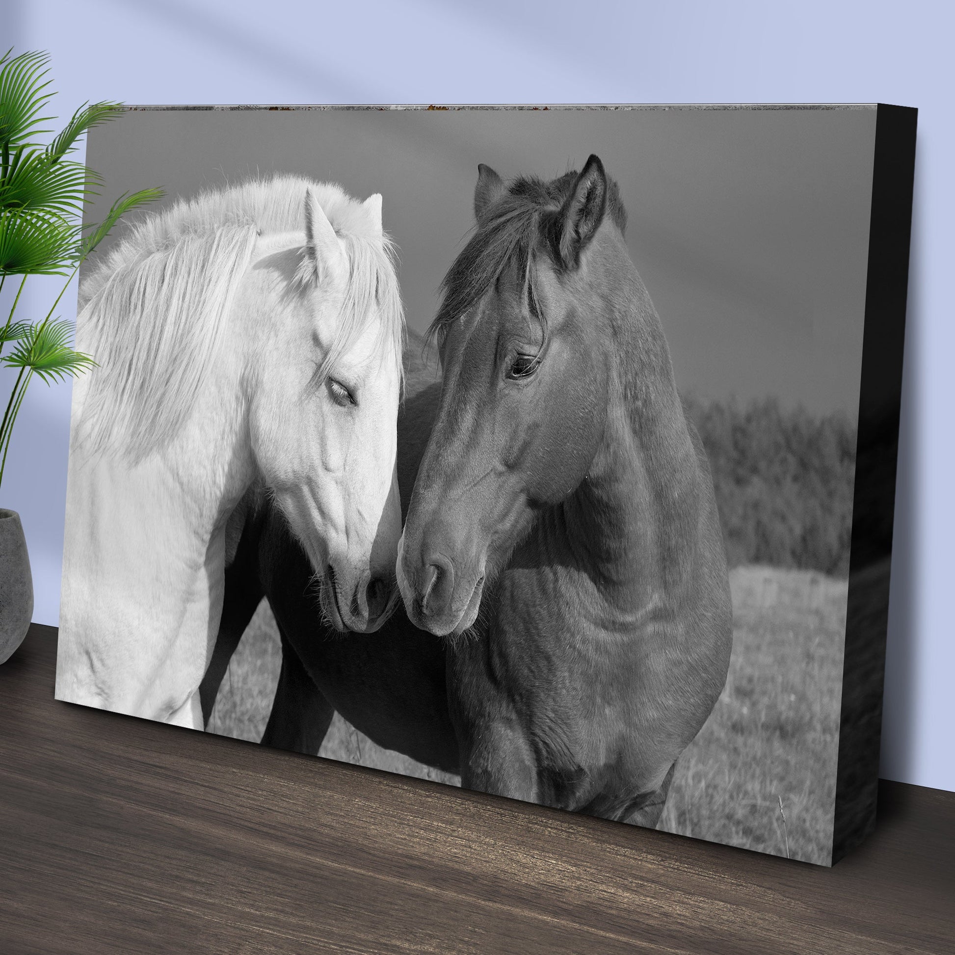 Horse Love Canvas Wall Art by Tailored Canvases, horses nuzzling heads in black and white on Tampa Home & Garden Store