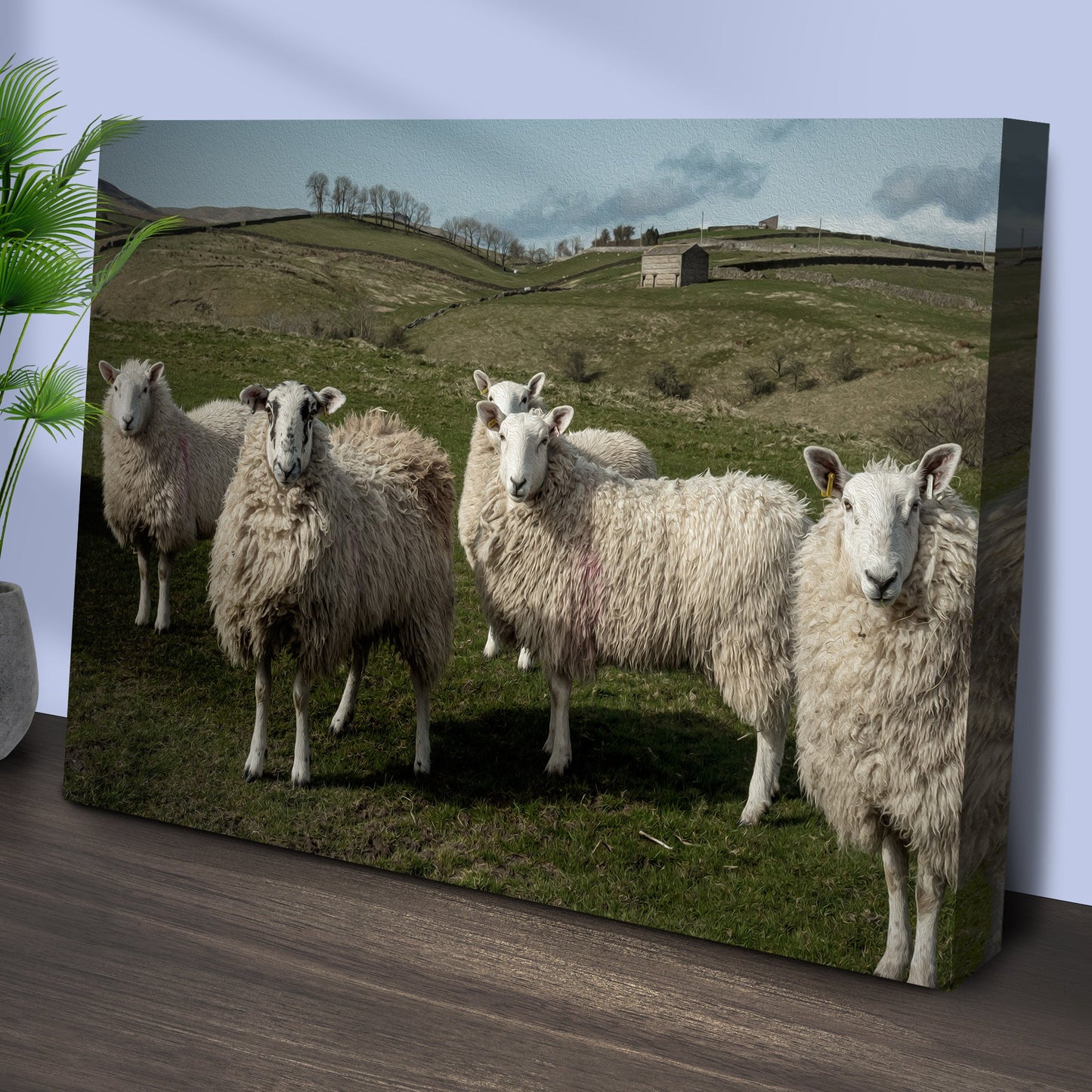 Flock Of Sheep Canvas Wall Art Tailored Canvases; hillside with sheep and a shed on canvas on Tampa Home & Garden Store