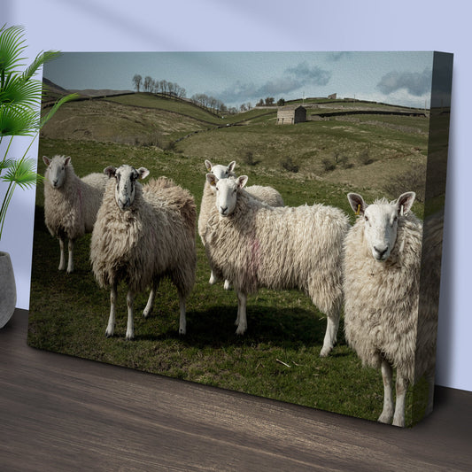 Flock Of Sheep Canvas Wall Art Tailored Canvases; hillside with sheep and a shed on canvas on Tampa Home & Garden Store