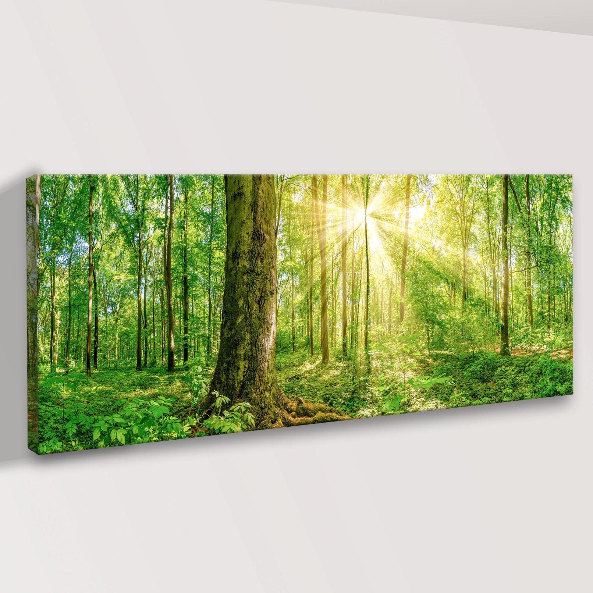 Golden Rays Into The Forest Canvas Wall Art by Tailored Canvases, sunlit forest scene canvas on Tampa Home & Garden Store