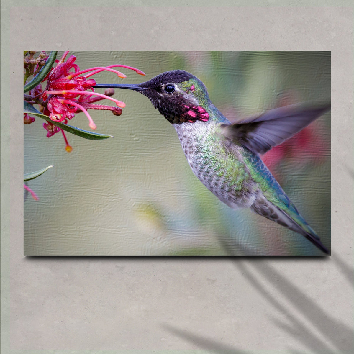 Hummingbird Spring Canvas Wall Art, vivid green hummingbird feeding on pink flowers on Tampa Home & Garden Store