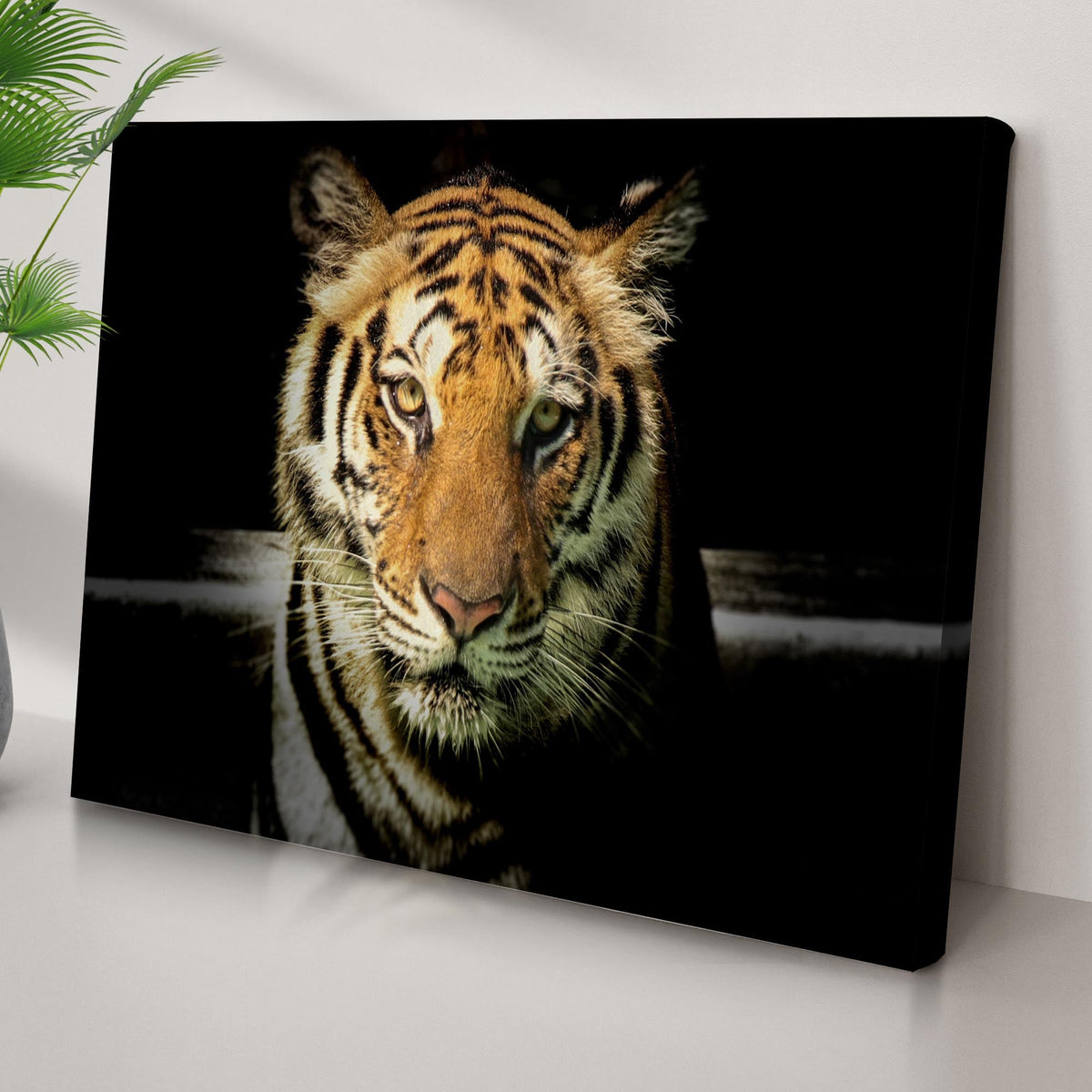 Lurking Tiger In The Dark canvas wall art close-up tiger portrait on black background on Tampa Home & Garden Store