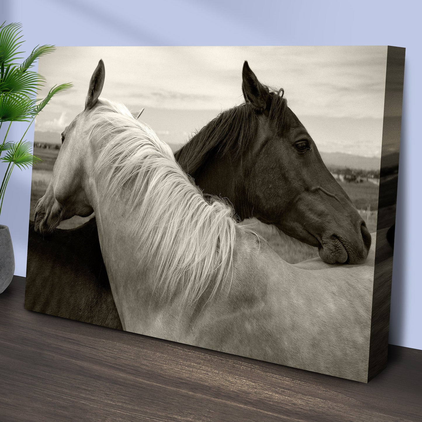 Monochrome Couple Horse Canvas Wall Art Tailored Canvases; black and white horses decor on Tampa Home & Garden Store