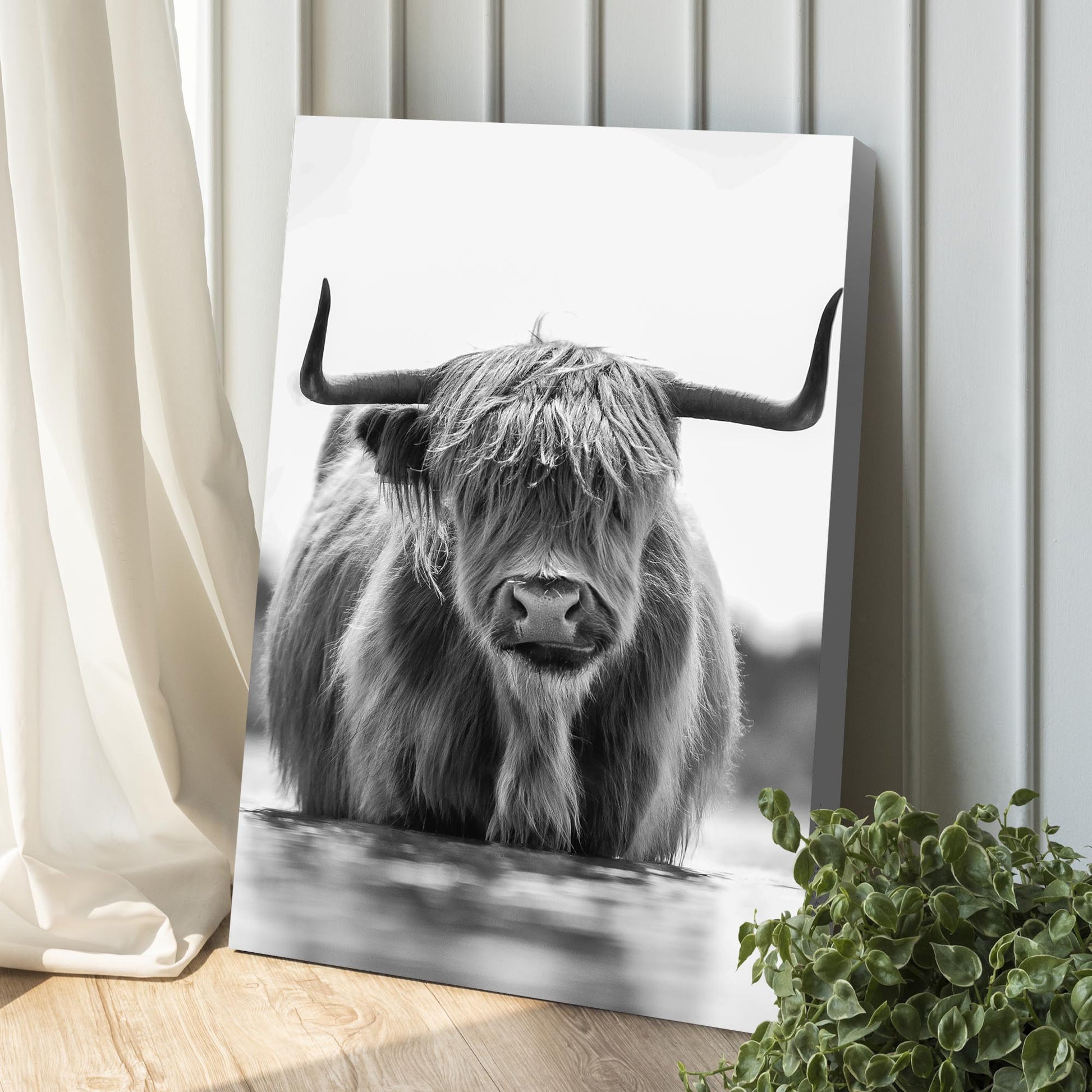 Grayscale Highland Cow portrait canvas wall art leaning against a paneled wall on Tampa Home & Garden Store
