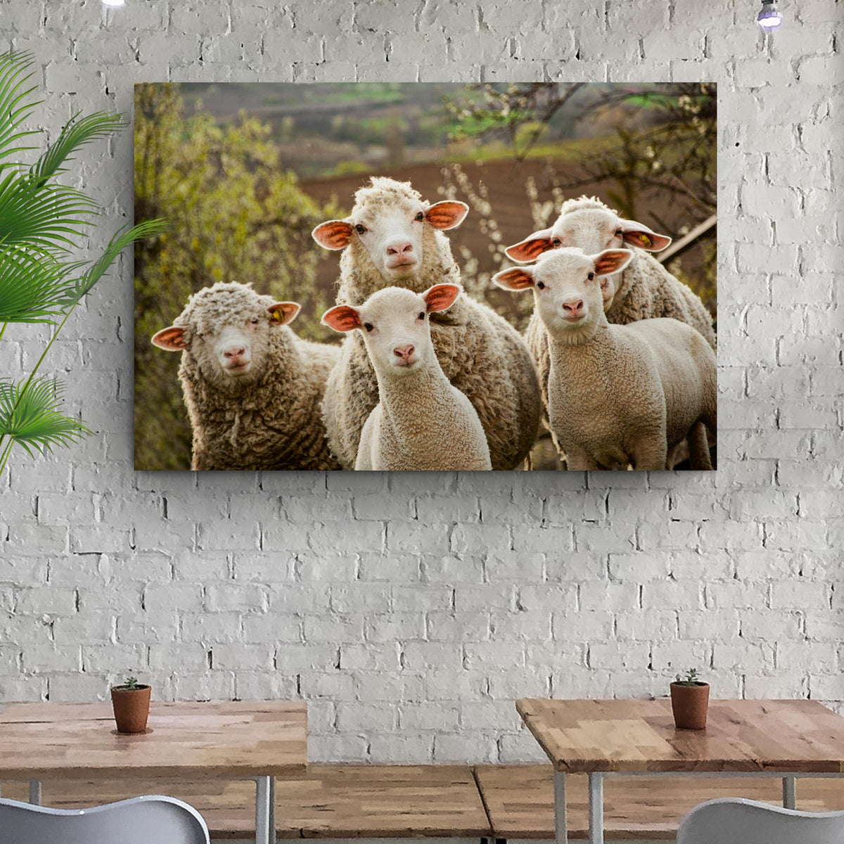 Curious Sheep Canvas Wall Art by Tailored Canvases, crafting canvas featuring white sheep on Tampa Home & Garden Store