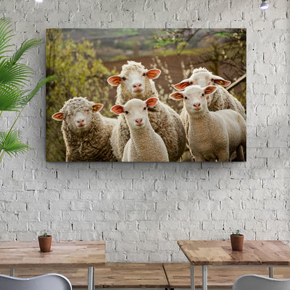 Curious Sheep Canvas Wall Art by Tailored Canvases, crafting canvas featuring white sheep on Tampa Home & Garden Store