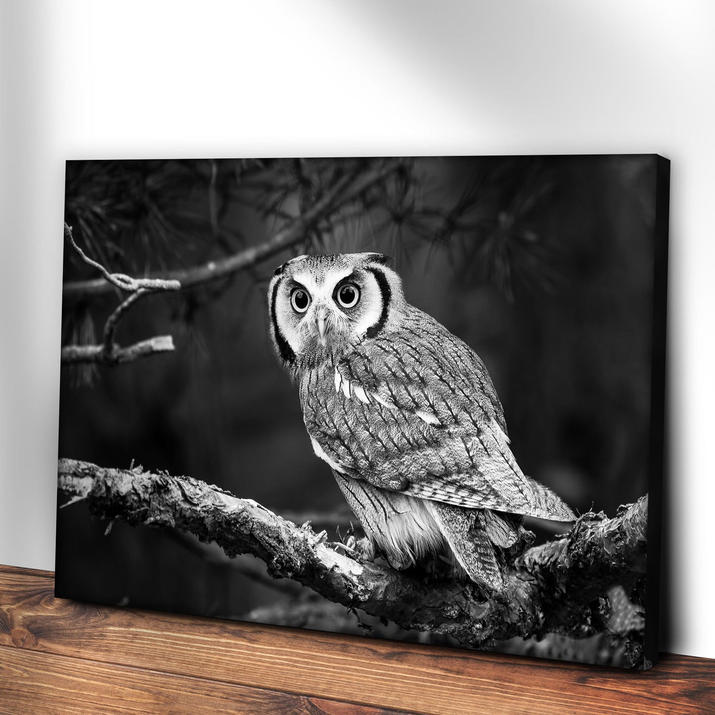 Black and white owl canvas wall art by Tailored Canvases, crafting canvas on Tampa Home & Garden Store