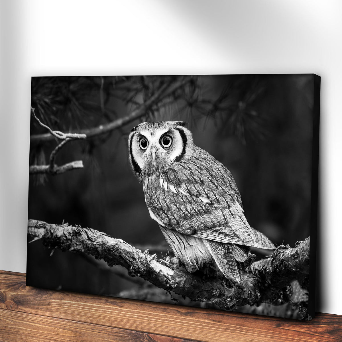 Black and white owl canvas wall art by Tailored Canvases, crafting canvas on Tampa Home & Garden Store