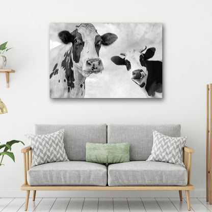 Monochrome Holstein cows canvas wall art, two cows, black and white pastoral scene on Tampa Home & Garden Store