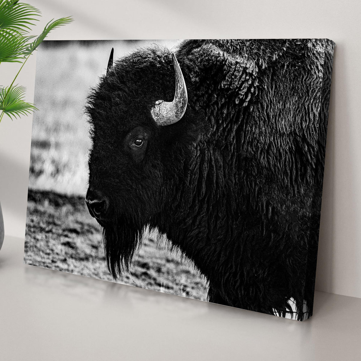 Black and white bison canvas wall art Tailored Canvases crafting canvas on Tampa Home & Garden Store