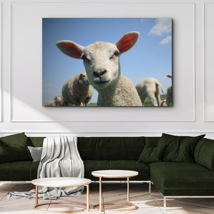 Curious Lamb Canvas Wall Art close-up white lamb with blue sky backdrop on Tampa Home & Garden Store