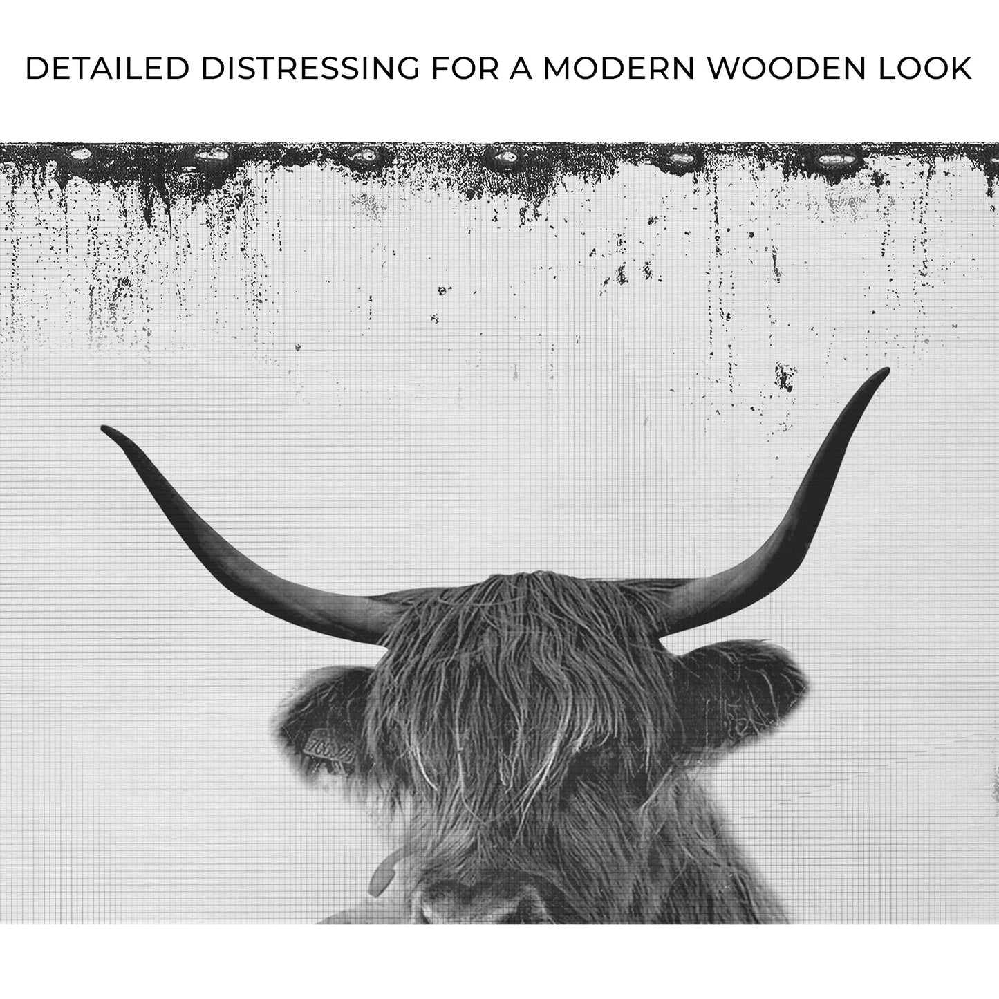 Highland Cattle Bath Canvas Wall Art II Tailored Canvases bw image of shaggy Highland cow horns on Tampa Home & Garden Store