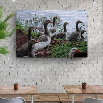 Flock Of Domestic Geese Canvas Wall Art by Tailored Canvases featuring gray geese by a lakeside on Tampa Home & Garden Store