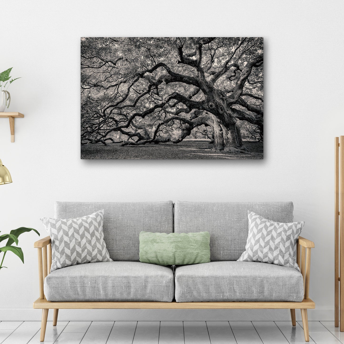 Monochrome Angel Oak Tree canvas wall art, monochrome crafting canvas by Tailored Canvases on Tampa Home & Garden Store