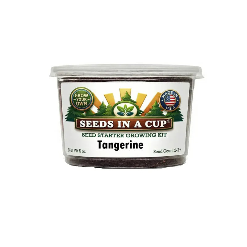 Tangerine Tree Grow Kit - Tampa Home & Garden Store