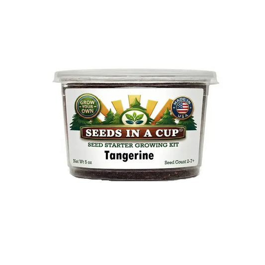 Tangerine Tree Grow Kit - Tampa Home & Garden Store