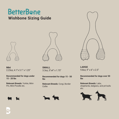 Juguete masticable BetterBone de durabilidad media: Ideal para masticadores cotidianos | Ingredientes naturales, ecológico, no tóxico