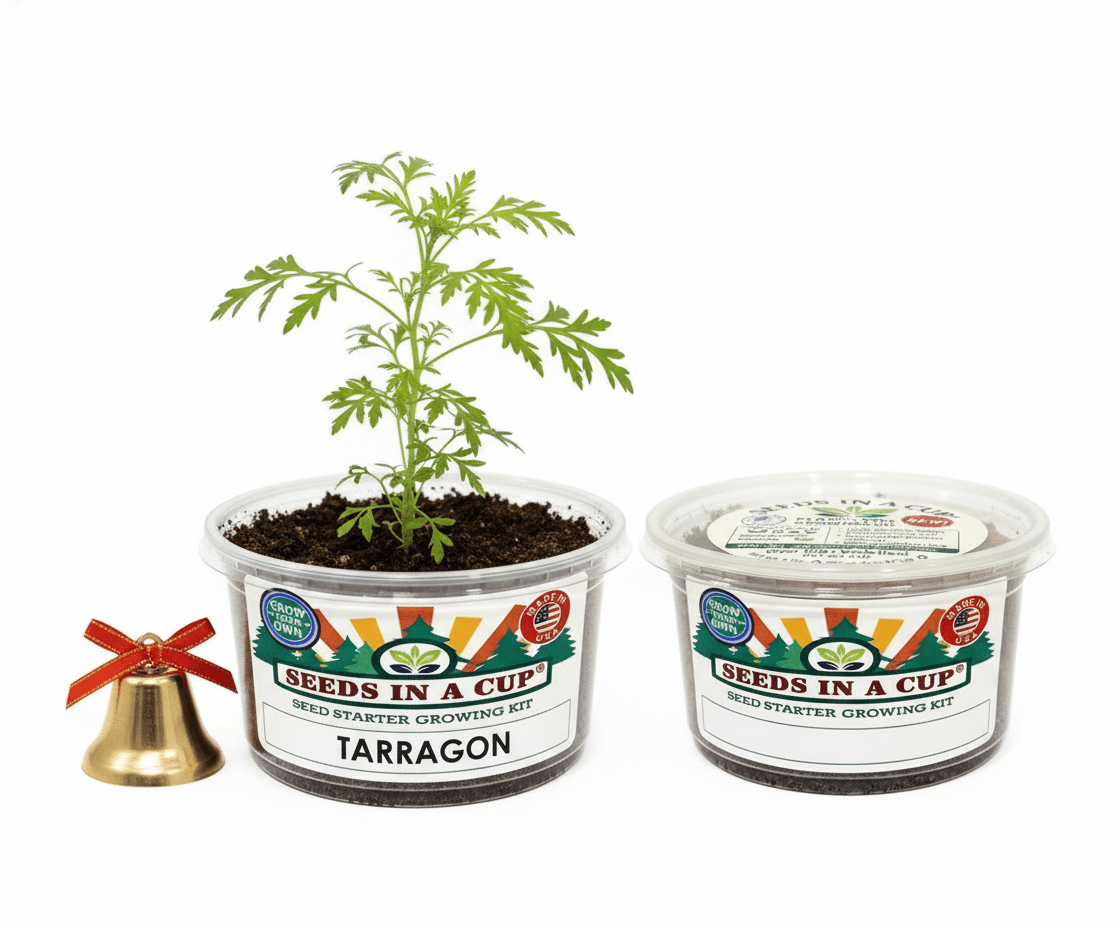 Tarragon Grow Kit - Tampa Home & Garden Store