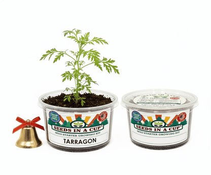 Tarragon Grow Kit - Tampa Home & Garden Store