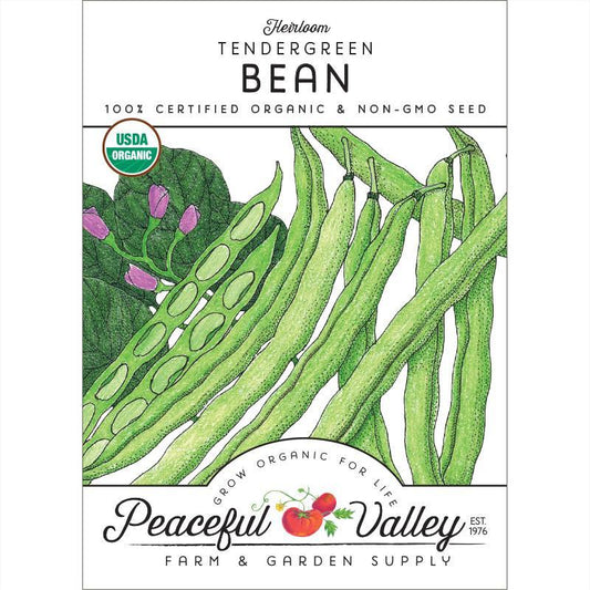 Tendergreen Bush Bean Seeds (Organic) - Tampa Home & Garden Store