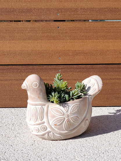 Terracotta Pot - Spotted Dove - Tampa soil911.com
