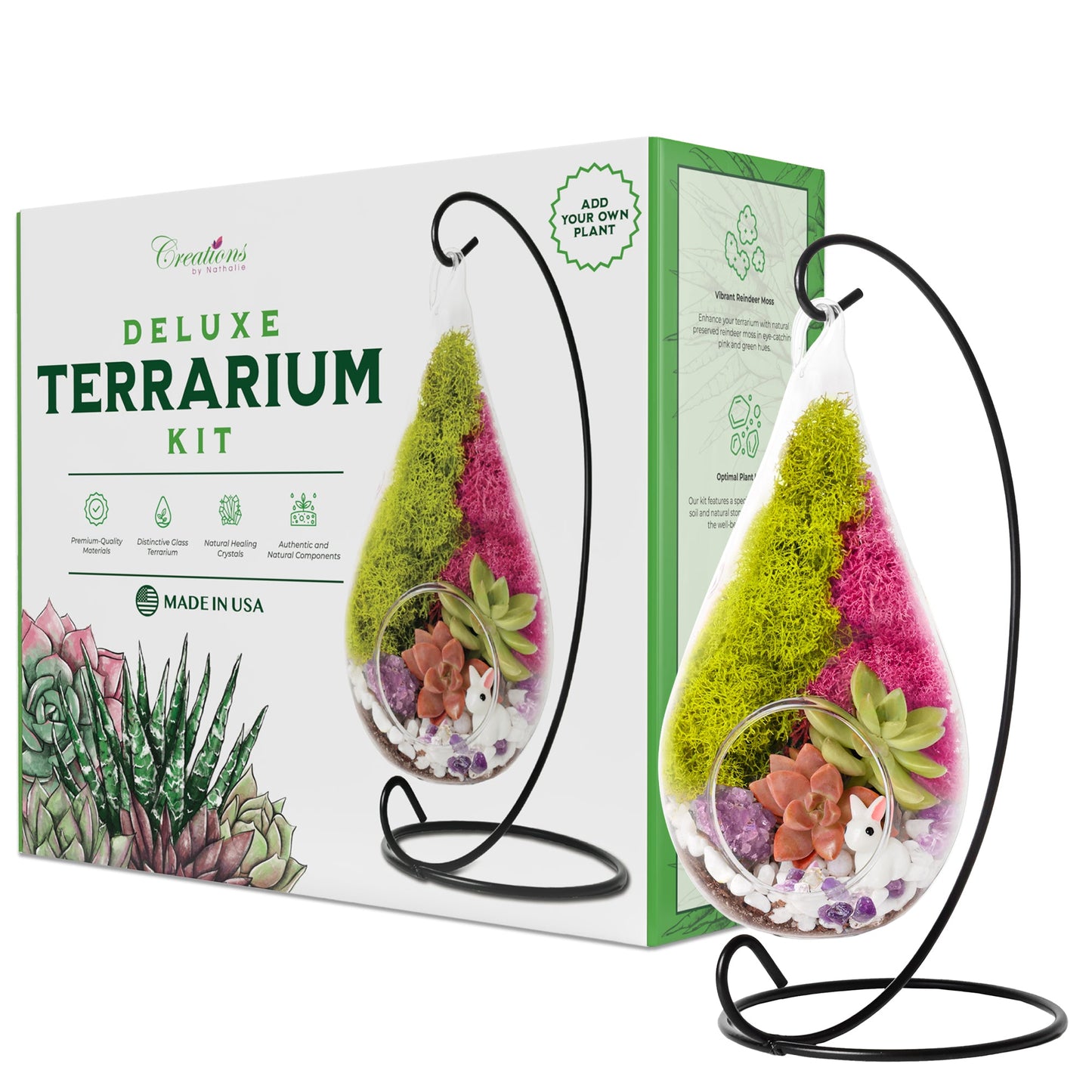 7" Glass Tear Drop Succulent Terrarium Kit