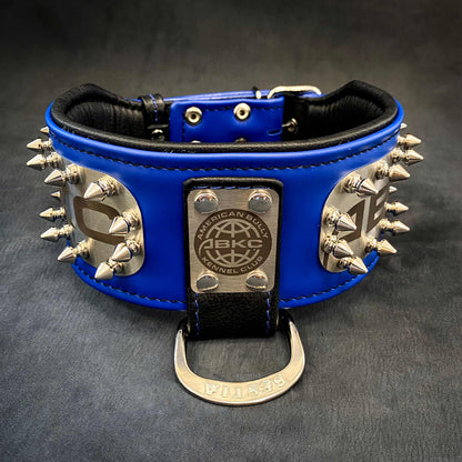 The ABKC Collar - Tampa Home & Garden Store