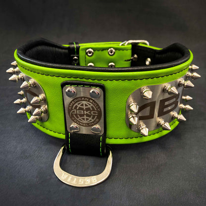 The ABKC Collar - Tampa Home & Garden Store