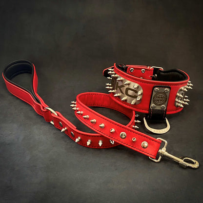 The ABKC Collar - Tampa Home & Garden Store