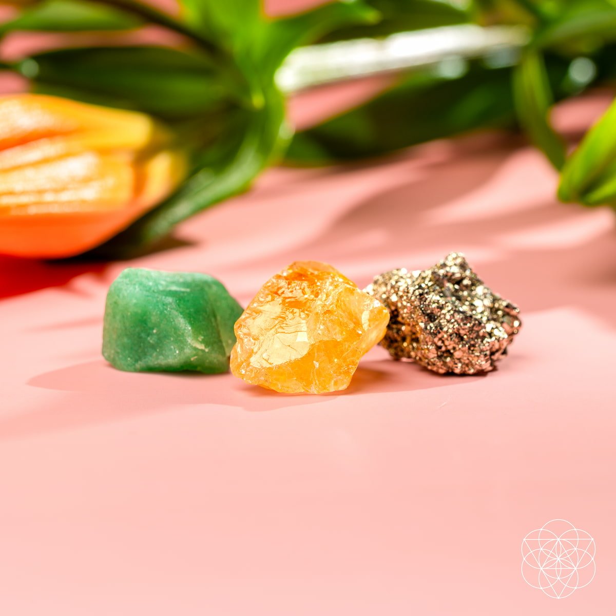 The Abundance Trio - Tampa Home & Garden Store