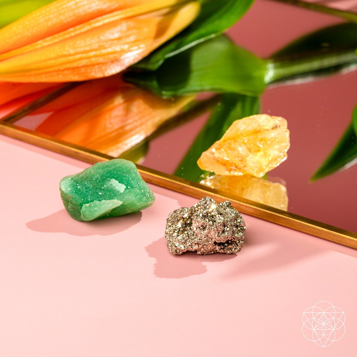 The Abundance Trio - Tampa Home & Garden Store