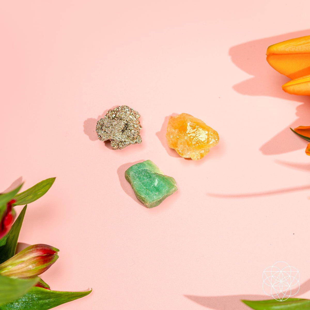 The Abundance Trio - Tampa Home & Garden Store