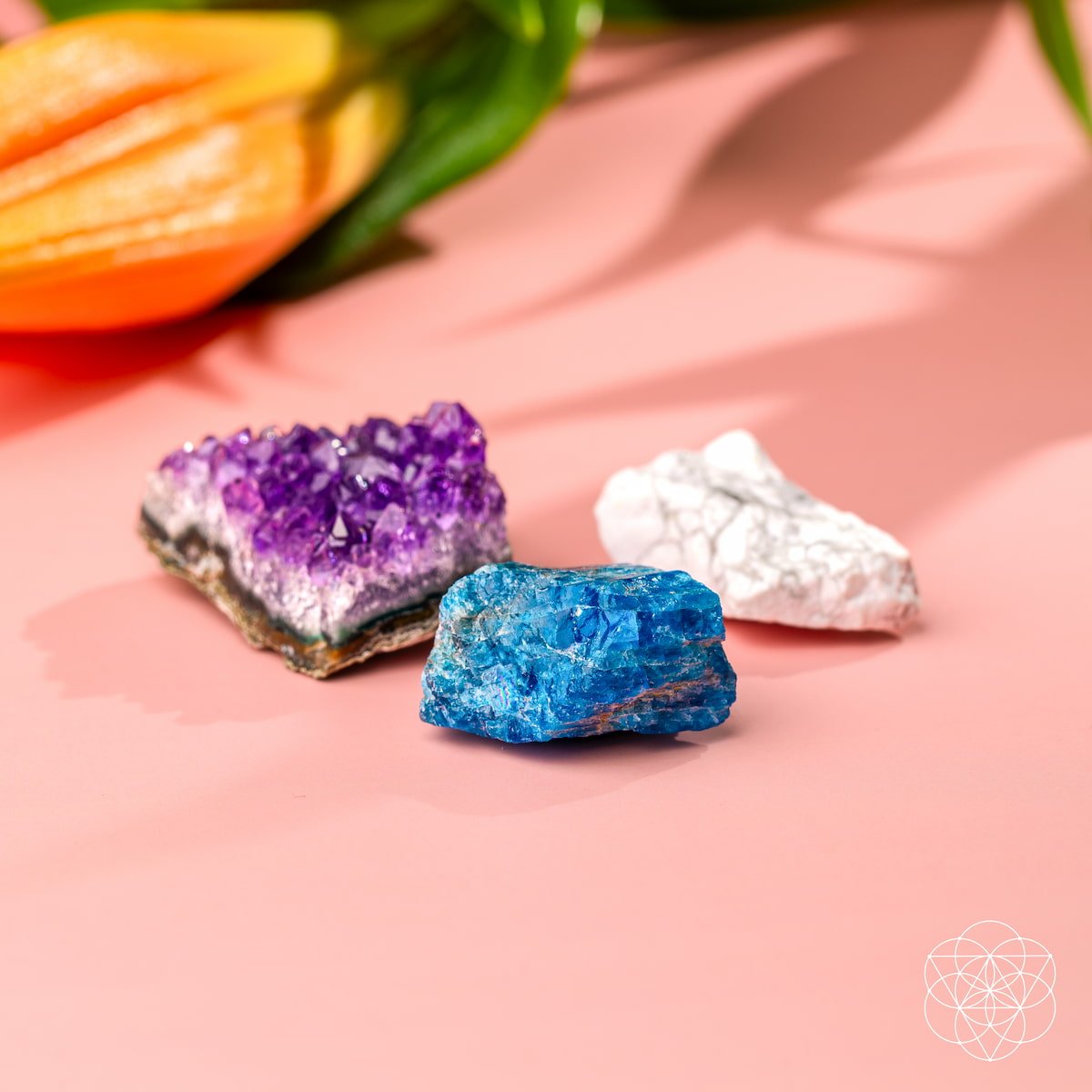 The Anti-Anxiety Trio - Tampa Home & Garden Store